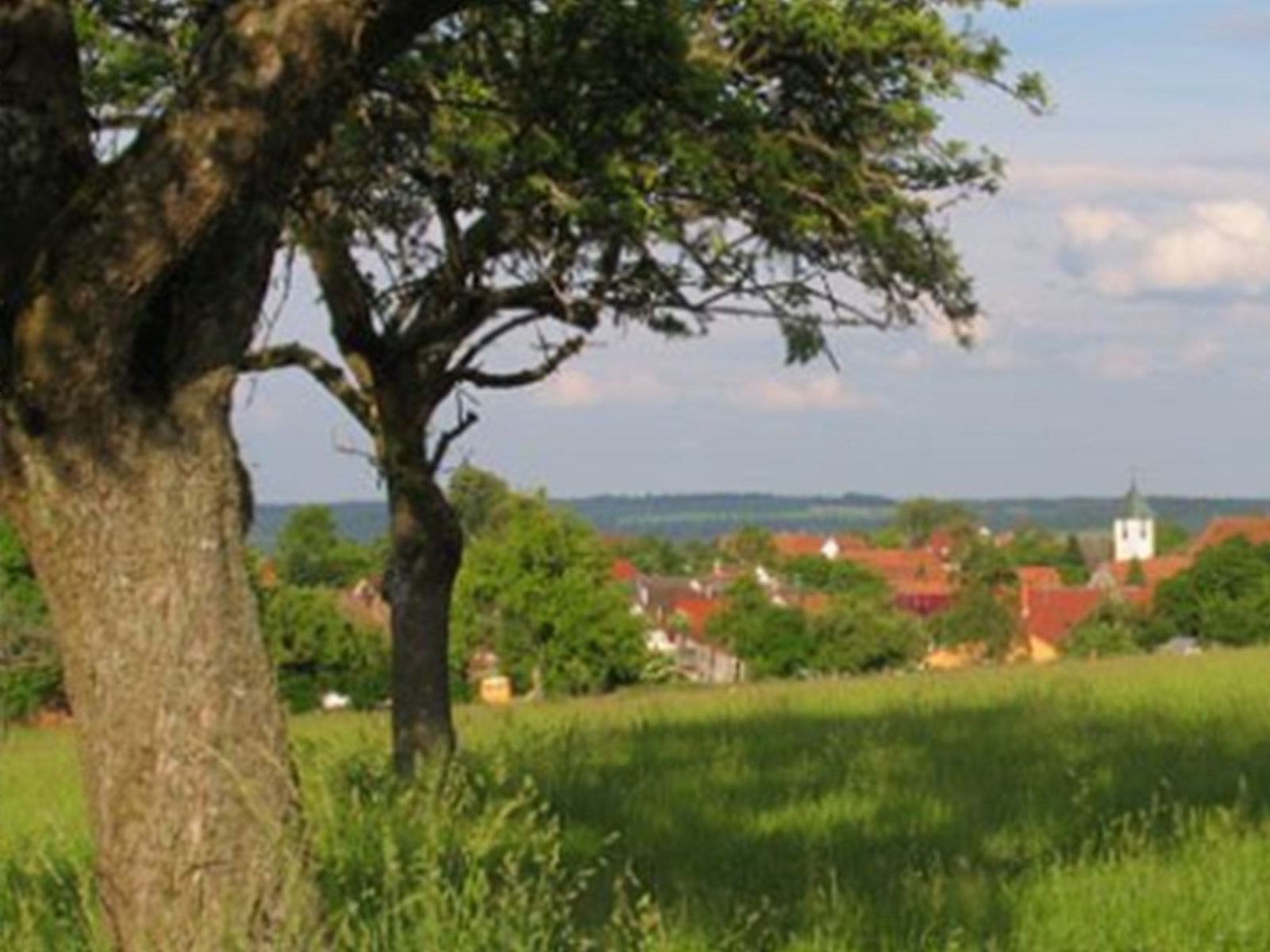 Ausblick der Stottertherapie in Süddeutschland