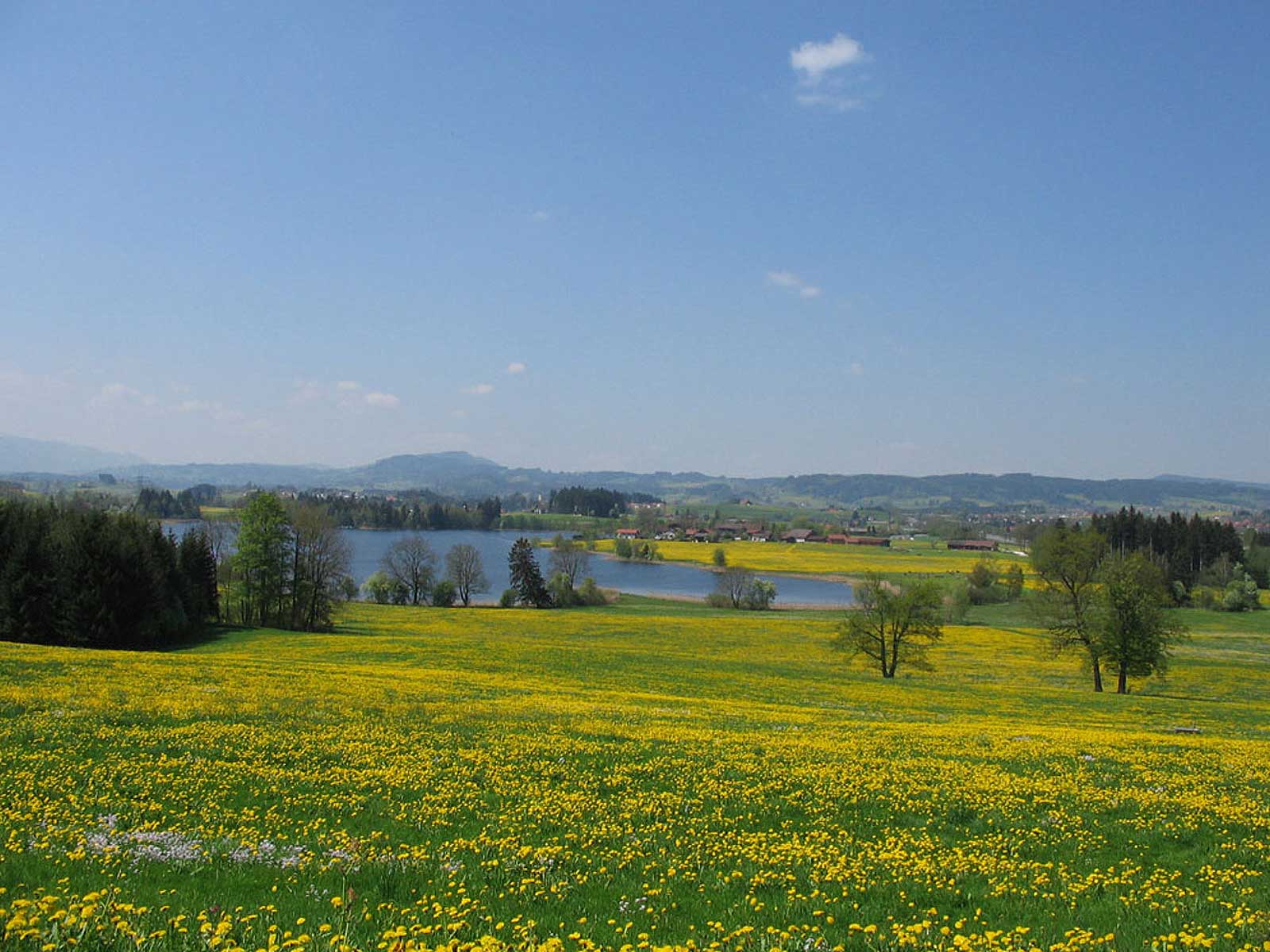 Ausblick der Stottertherapie in Süddeutschland